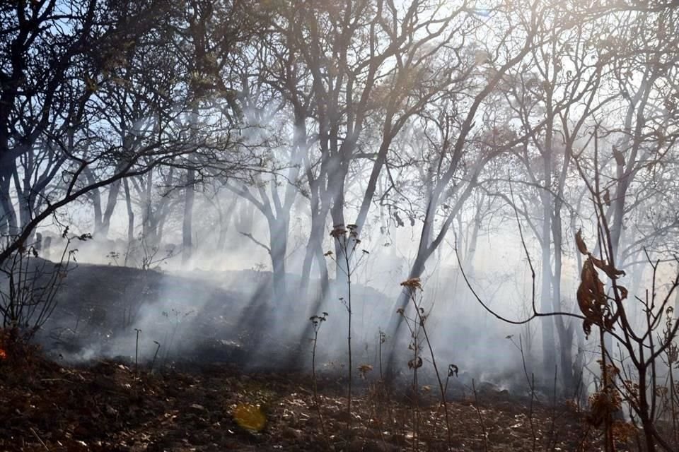 A las 19:00 horas, la Semadet emitió una alerta atmosférica para Tlajomulco, Zapopan, Tlaquepaque y Guadalajara.