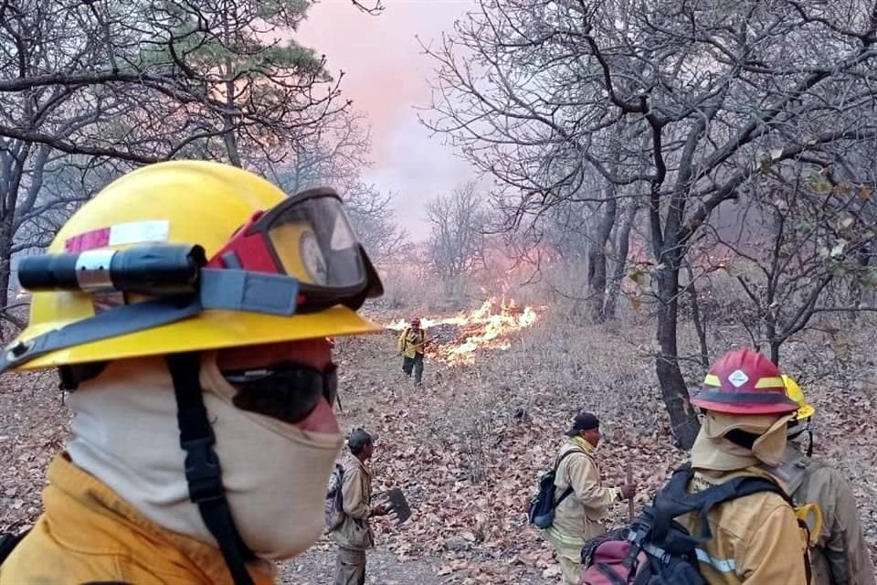 Uno de los brigadistas que trabajó anoche para sofocar el incendio en La Primavera, sufrió un accidente durante el combate y está grave.