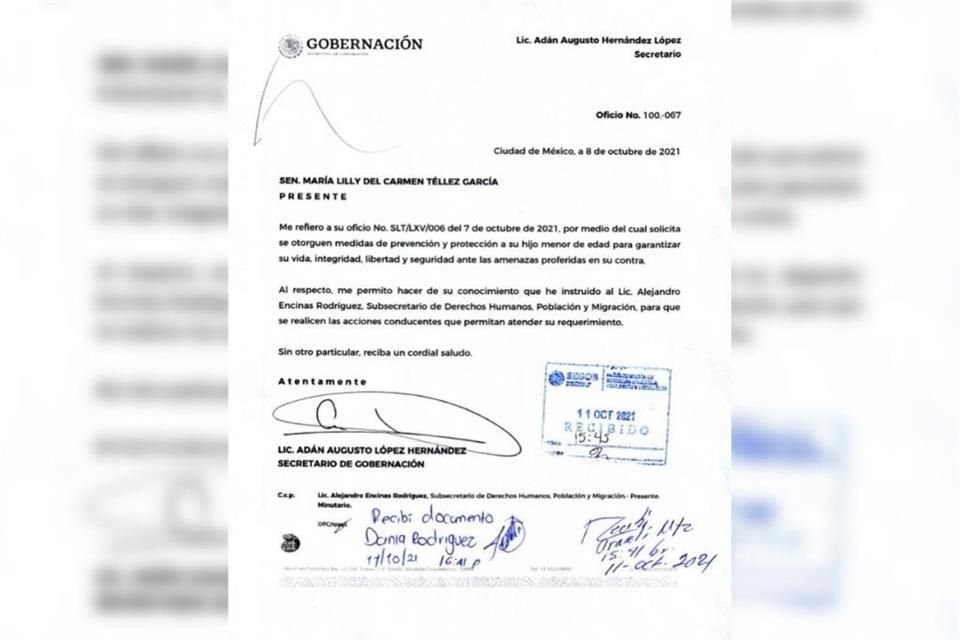 La senadora panista Lilly Téllez solicitó a Segob medidas para garantizar 'la vida y seguridad' de su hijo, luego que recibió amenazas.