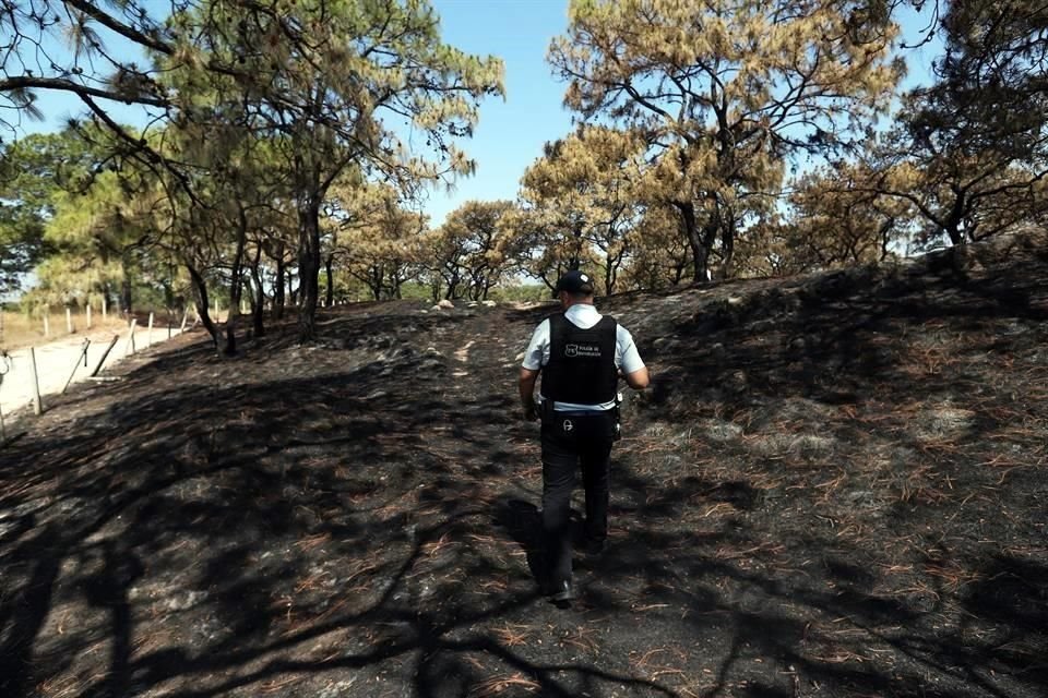 La propuesta era que los entes públicos encargados de las ANP pudieran limitar el ingreso a esos espacios, sobre todo en temporada de incendios forestales.