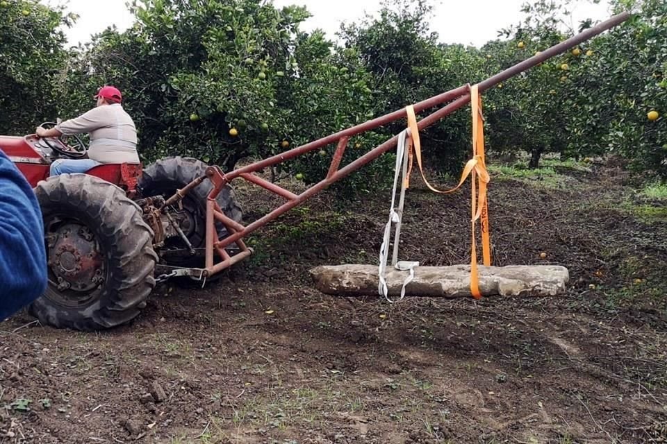 La talla en roca caliza era tan pesada, que los pobladores necesitaron la ayuda de un tractor para poder extraerla.