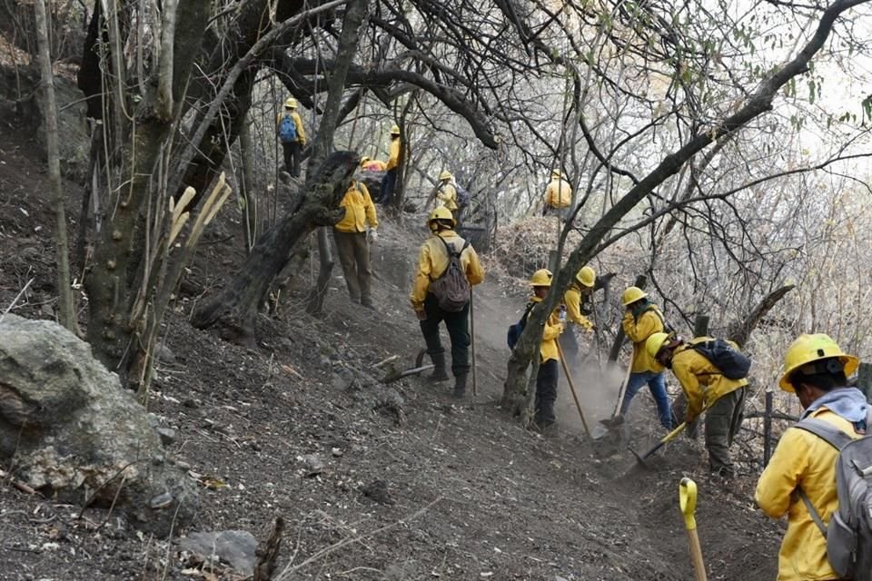 En total, el fuego afectó 350 hectáreas de pino y encino.