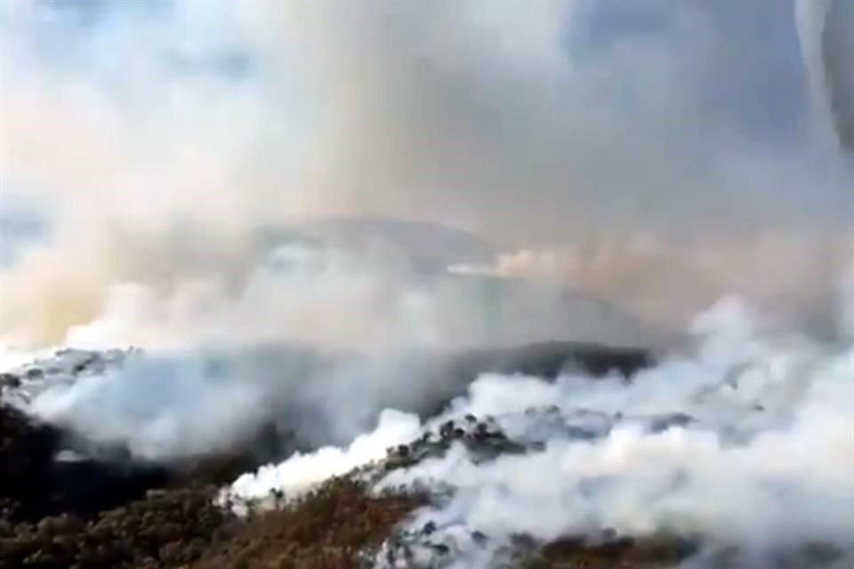 El equipo que integra la Unidad de Rescate de Fauna Silvestre realiza caminatas por las zonas afectadas por el incendio para ver el daño a los animales.