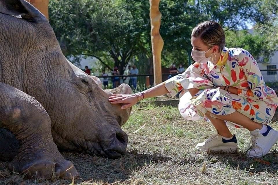 La Primera Dama tuvo acceso a un rinoceronte que estaba en el suelo en el zoológico.