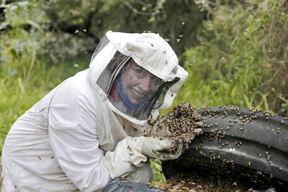 Esthela Garza es de las pocas personas que retira colmenas de casas, escuelas, árboles y cualquier espacio de la Ciudad donde haya enjambres para reubicar y proteger a estos insectos polinizadores.