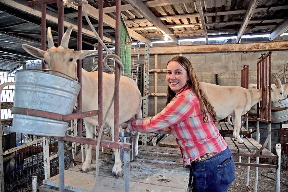 Esthela también ordeña y elabora productos de origen caprino.