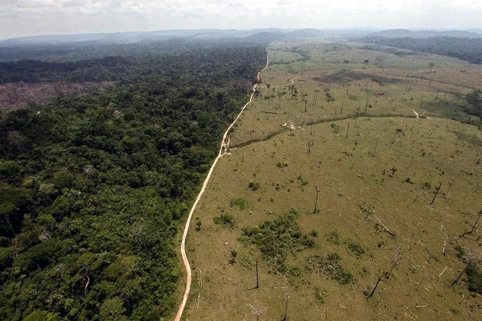 Esa declaración fue previamente firmada por 105 países.