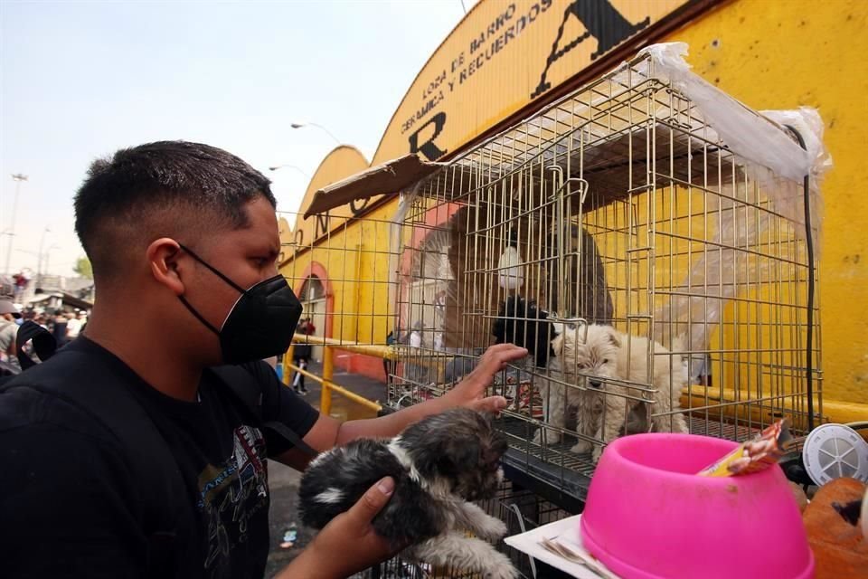 El incendio en el Mercado de Sonora exhibió el maltrato animal, acreditado por la FGJ.
