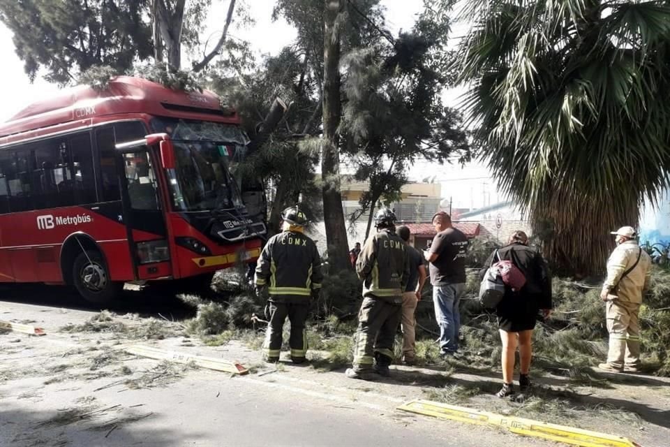 Una unidad del Metrobús chocó contra un árbol, en Francisco Morazán, Colonia Pradera, Alcaldía Gustavo A. Madero.