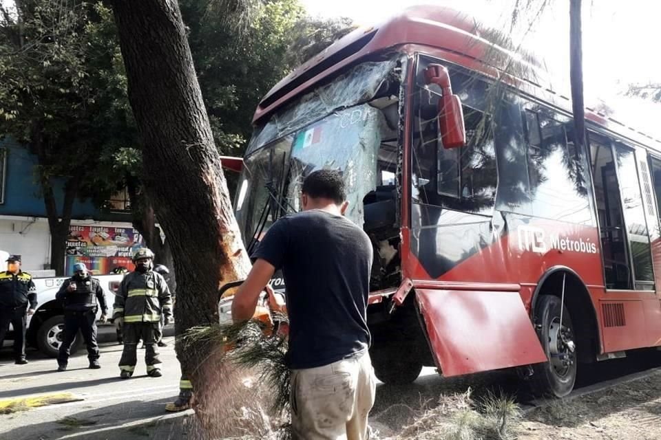 Bomberos seccionaron el árbol para liberar la unidad y poder moverla con una grúa. 