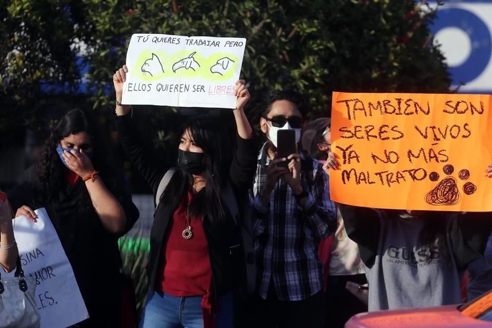 Activistas protestaron por la venta de animales en el Mercado de Sonora.