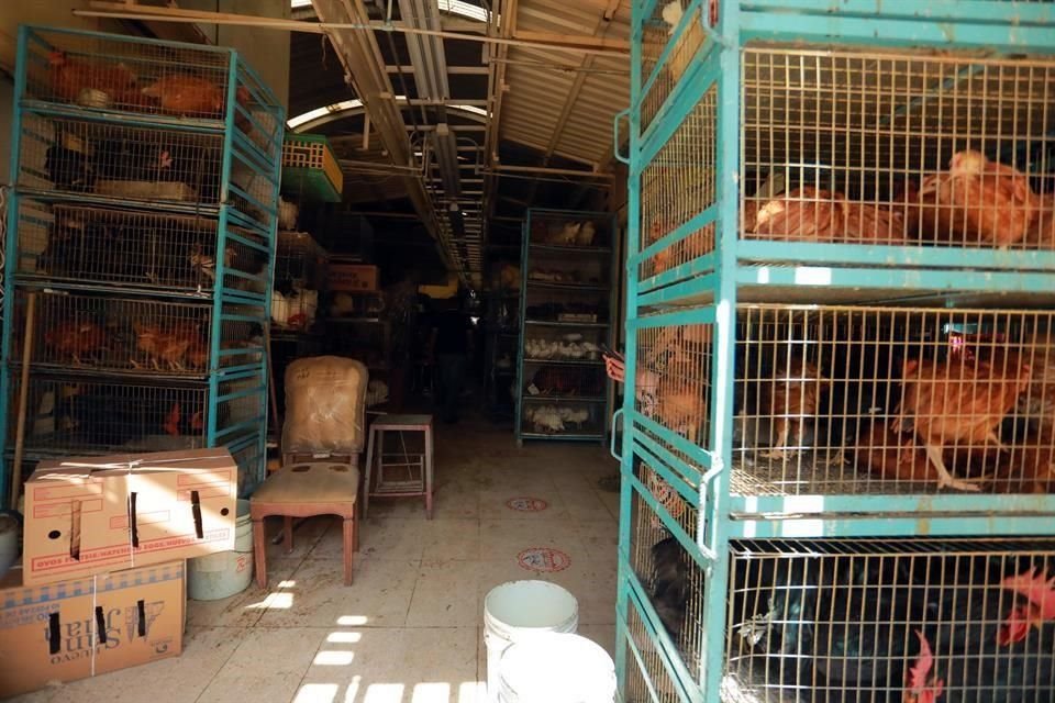 Cuando el Mercado de Sonora estuvo cerrado por la pandemia, la mayor parte de los ejemplares fueron retirados por los vendedores, pero en esta ocasión fue diferente.