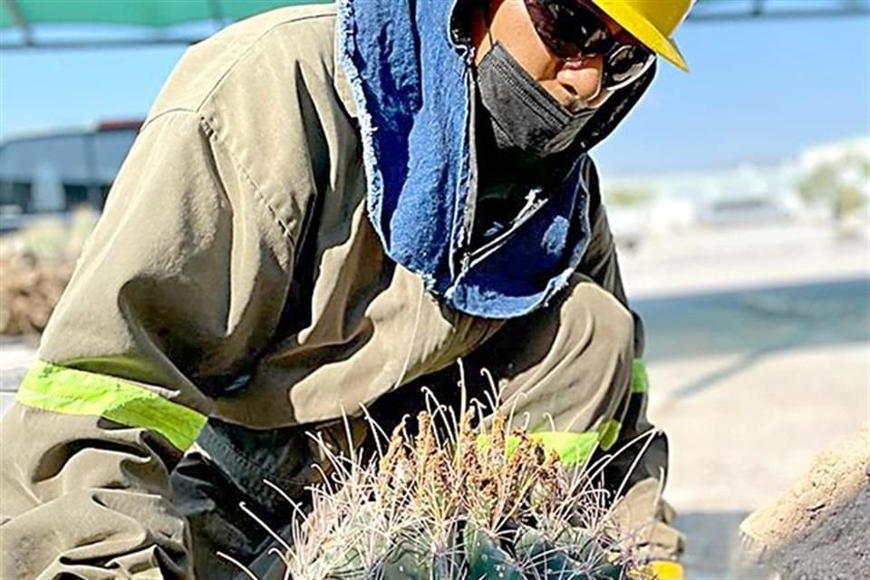 La empresa cuenta con  Unidad de Manejo para la  Conservación de la Vida  Silvestre (UMA)
