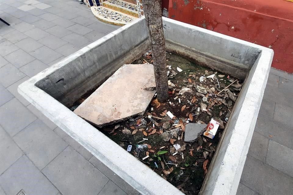 La basura es tirada en los nuevos maceteros que fueron colocados sobre las nuevas banquetas de la calle Doctor Coss.