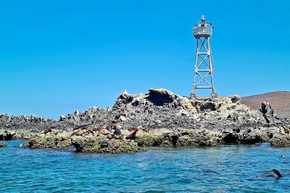Desde San Rafaelito se puede tener contacto con lobos marinos.