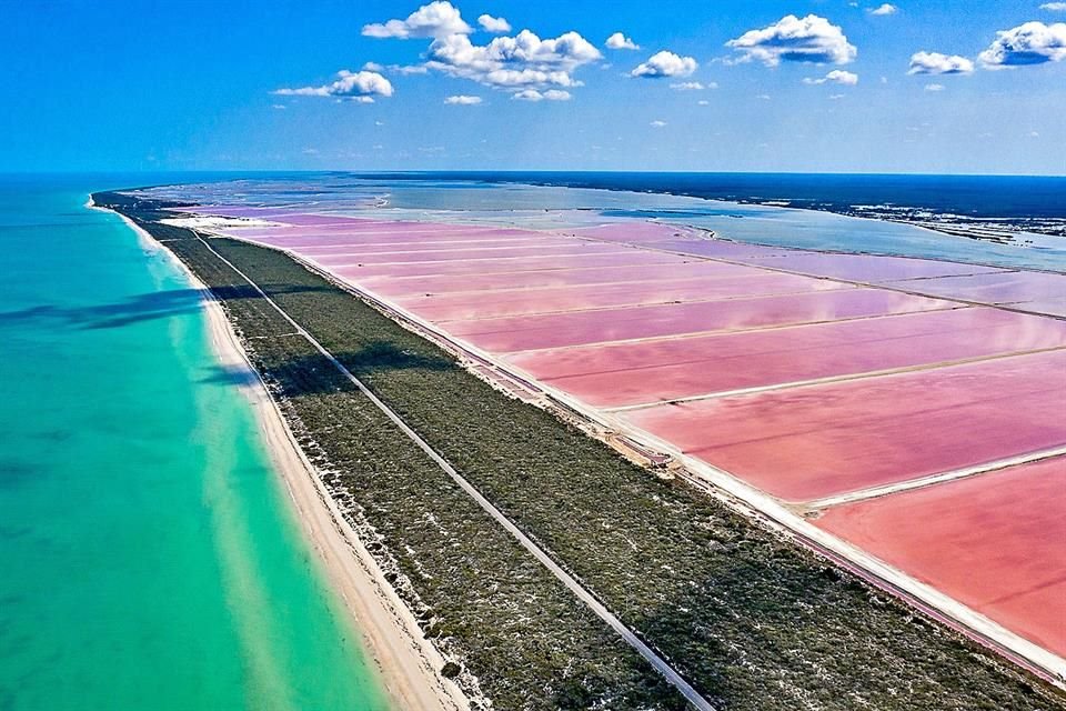 Las coloradas están dentro de una zona privada, propiedad de la Salinera de Yucatán.