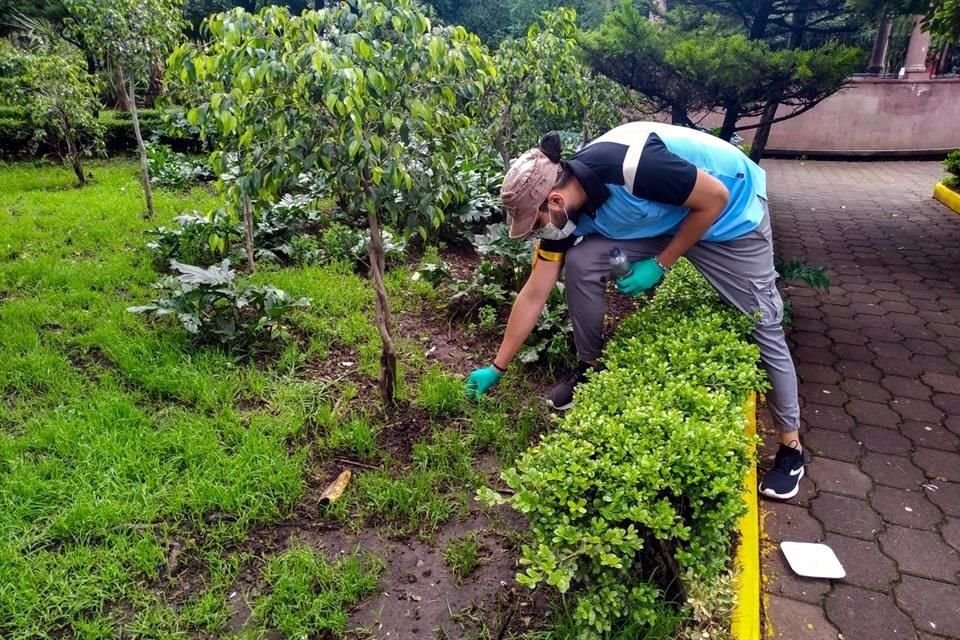 Las colillas afectan a las especies de flora y fauna, así como al suelo, además de que pueden infiltrarse en el acuífero, por lo que deben ser retiradas para someterse a reciclaje, apuntó Benítez.