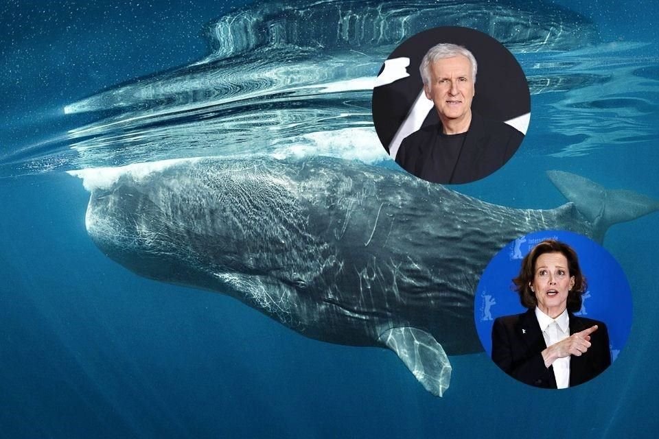 El documental de National Geographic estará disponible el 22 de abril en Disney+.