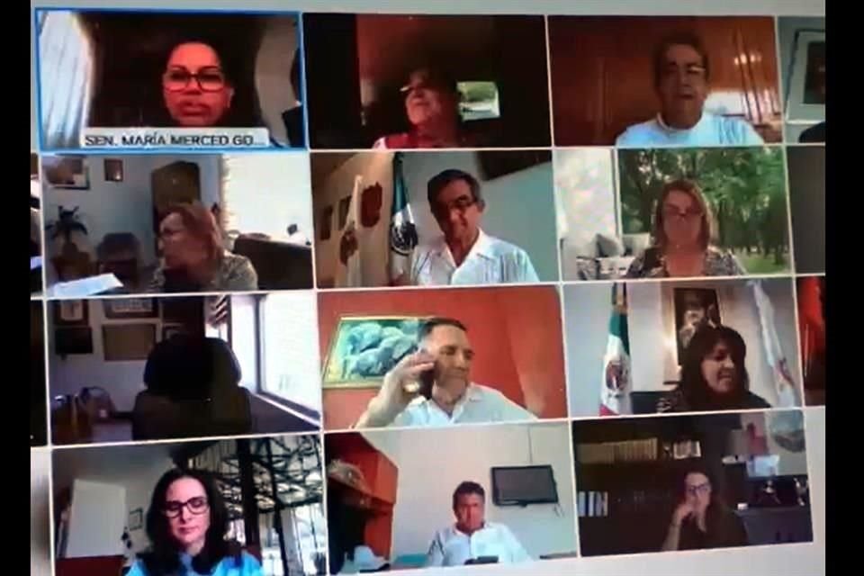 La senadora morenista Maria Merced González González intentaba comunicar esta petición a su bancada, pero no se dio cuenta de que lo hacía al grueso de los senadores.