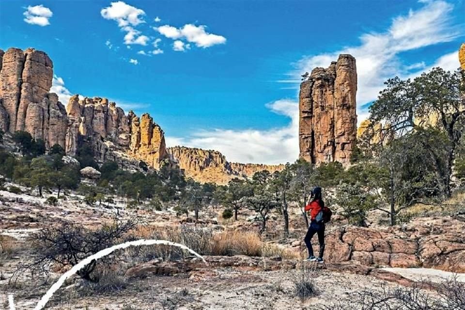 Sierra de Órganos.