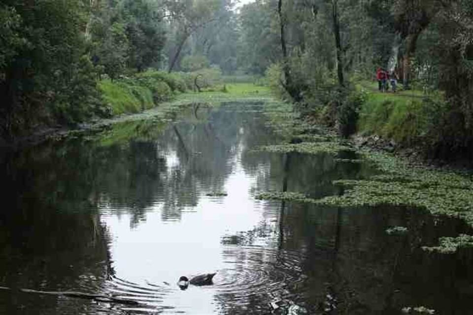 En la Ciénega convergen tres alcaldías, Xochimilco, Iztapalapa y Coyoacán.