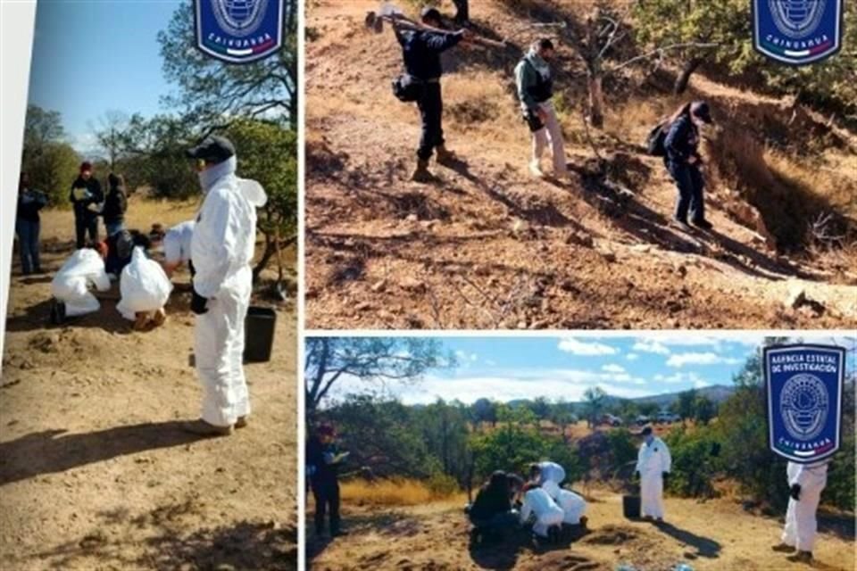 Autoridades de Chihuahua aseguraron 2,424 fragmentos óseos y evidencias en rancho de Cuauhtémoc; serán enviados a Austria para su análisis.