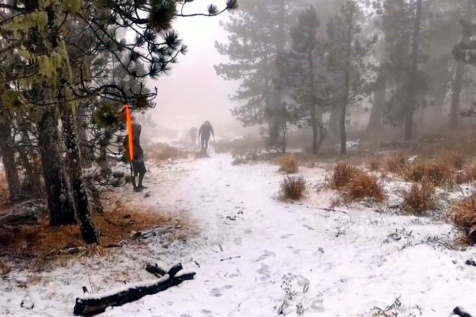 El Cerro del Potosí, en Galeana, se cubrió de blanco en las partes altas.