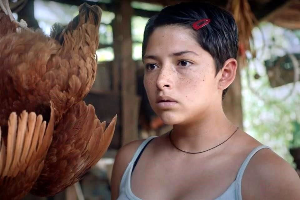 La película mexicana 'Noche de Fuego', de Tatiana Huezo, es una de las 15 finalistas a recibir la nominación a Largometraje Internacional en el Óscar.