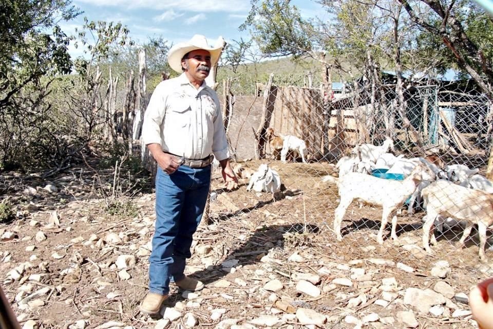 En Higueras, don Eleazar García mantiene una tradición ganadera que inició su bisabuelo.