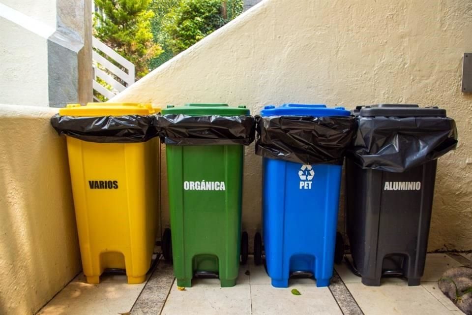 Reciclaje: ¿Cómo separar la basura y por qué es importante?