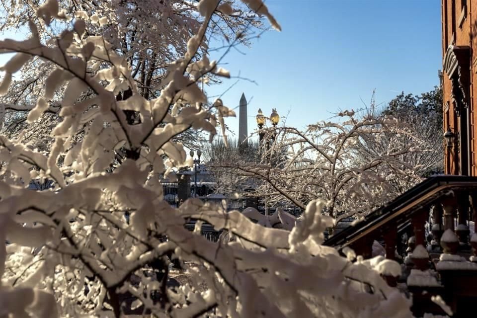 Vista del Monumento Washington desde la Plaza Lafayette afuera de la Casa Blanca, entre los árboles cubiertos de nieve.