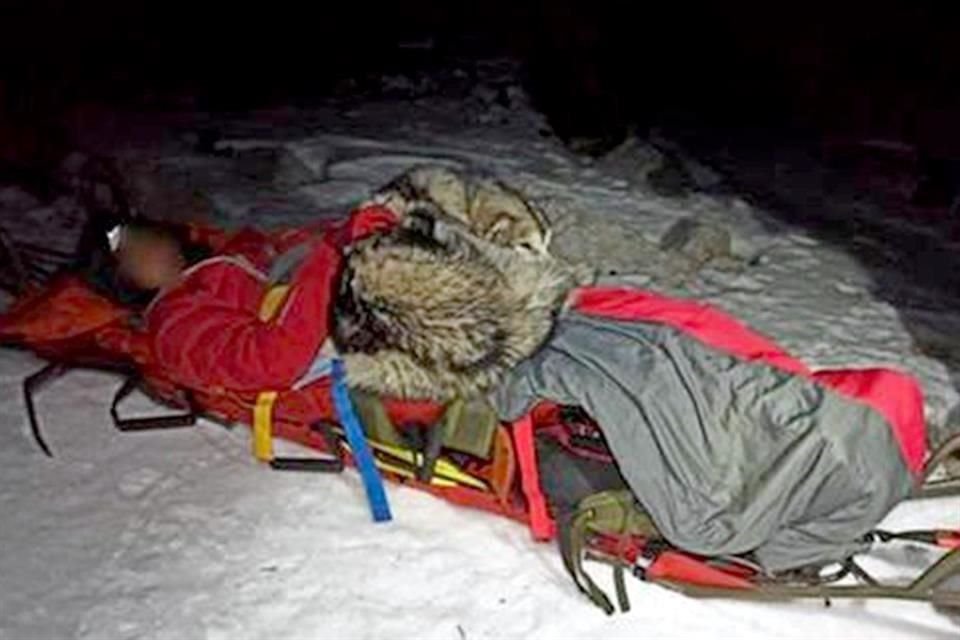 El perro 'North' mantuvo caliente a un excursionista que cayó de un barranco en una zona montañosa de Croacia.