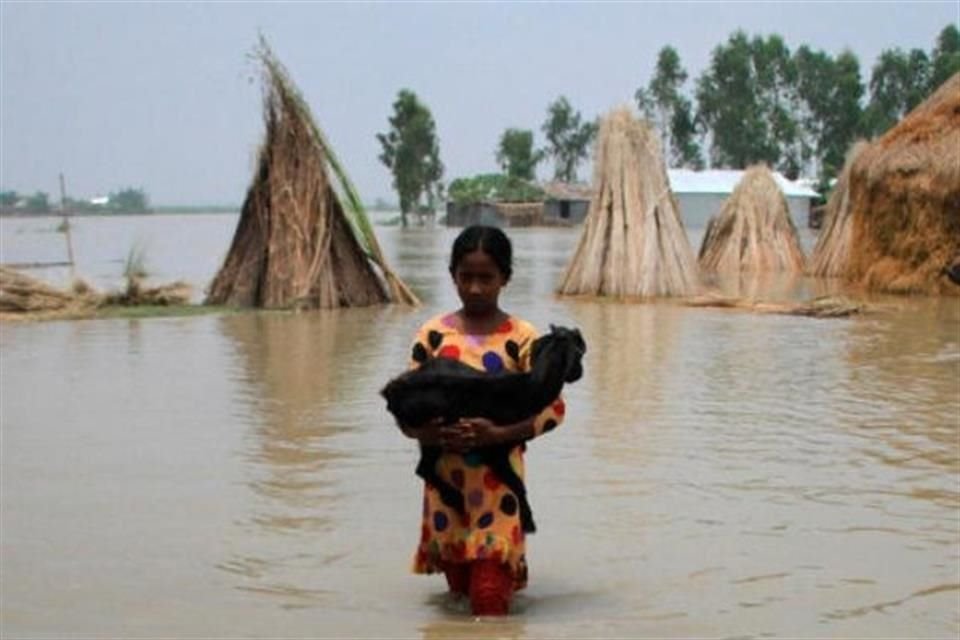 La crisis climática continúa siendo la mayor amenaza para la humanidad a largo plazo, según el Foro Económico Mundial (WEF).