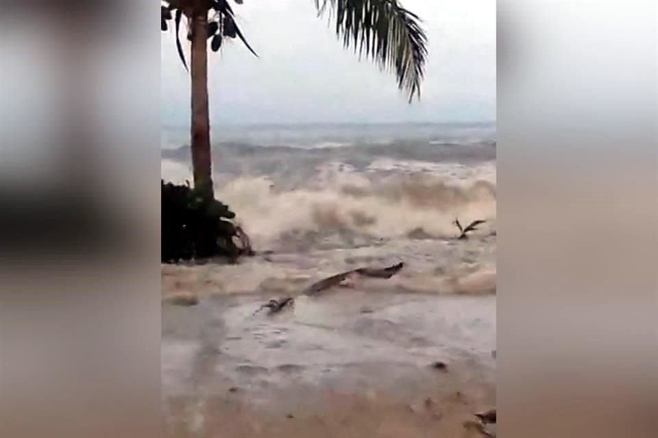 Personas huyeron ante la llegada del oleaje en Tonga.