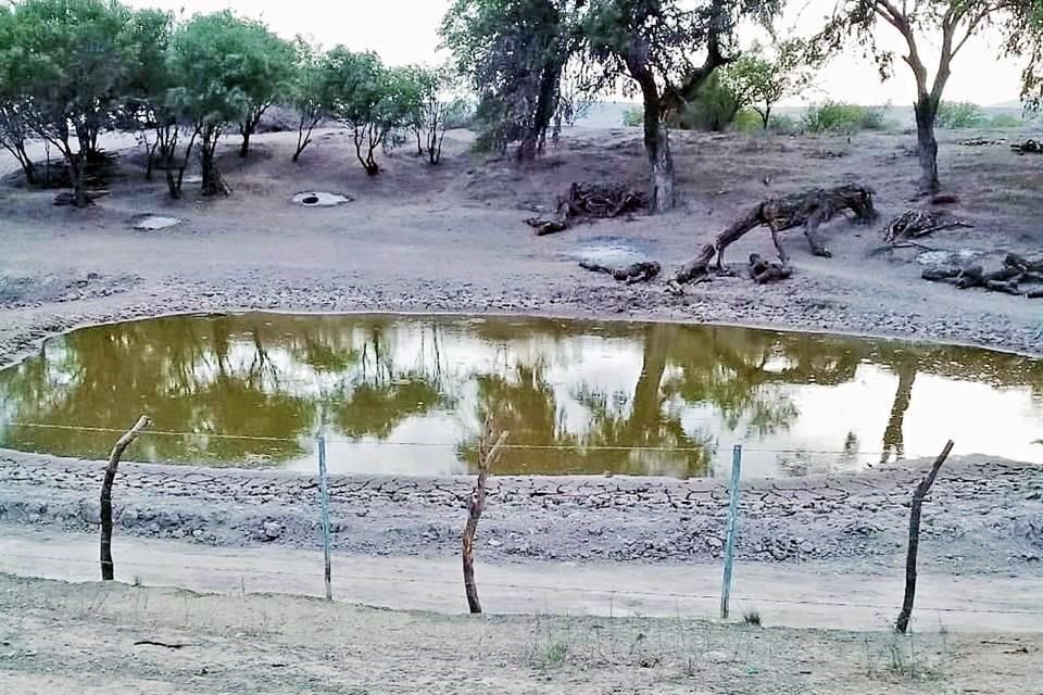 El 17 de abril se publicó que ante la sequía y las fallas de AyD, ejidos de Doctor Arroyo están sin suministro de agua.