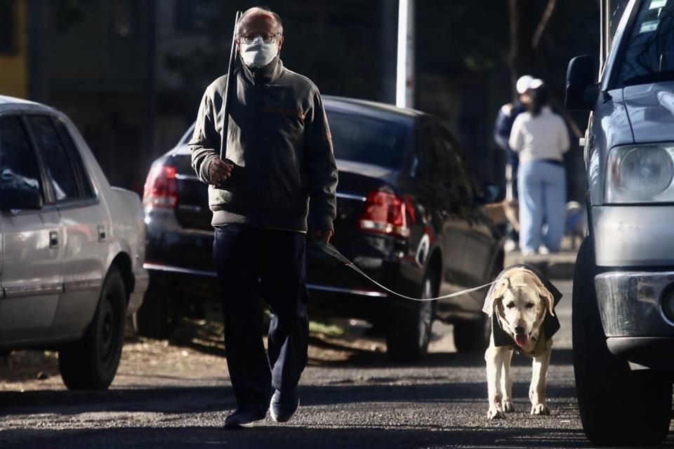 Especialistas recomendaron no tener a animales de compañía a la intemperie y no exponerlos a cambios bruscos de temperatura para evitar enfermedades respiratorias.