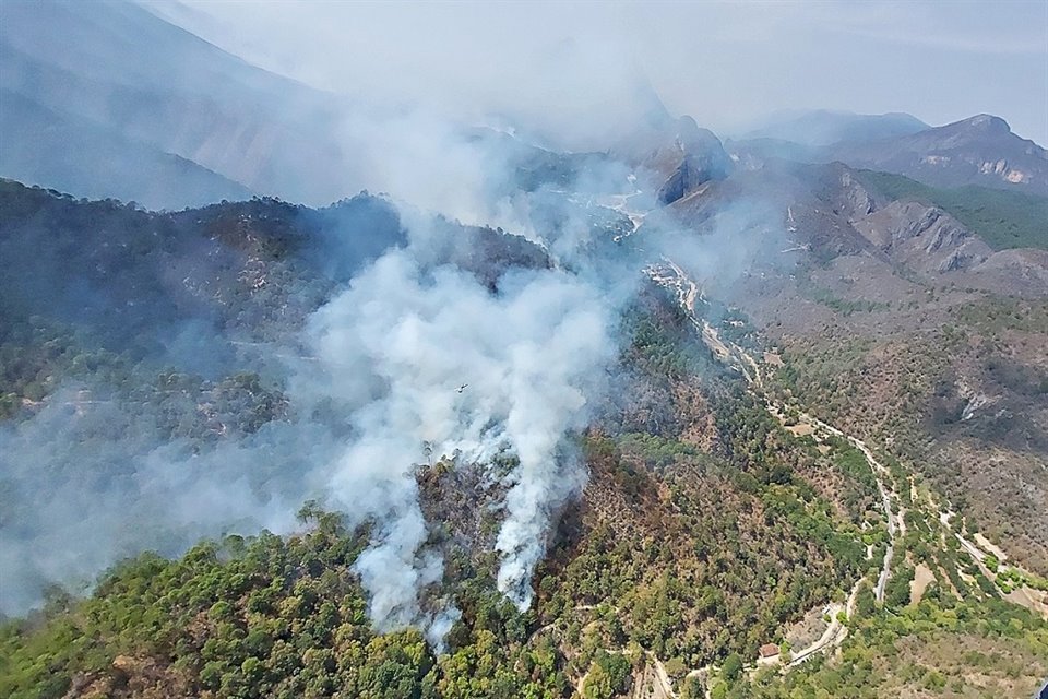 El año pasado las autoridades registraron la mayor afectación en el Estado a causa de los incendios forestales.