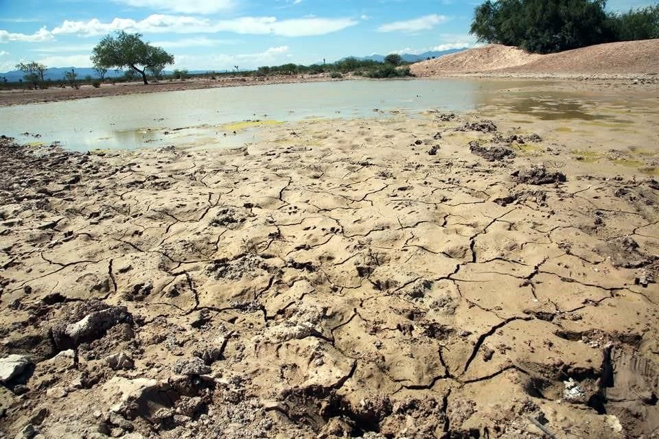 Conoce algunos de los factores que repercuten en la disponibilidad y calidad del agua, recurso finito e insustituible, en México y el mundo.