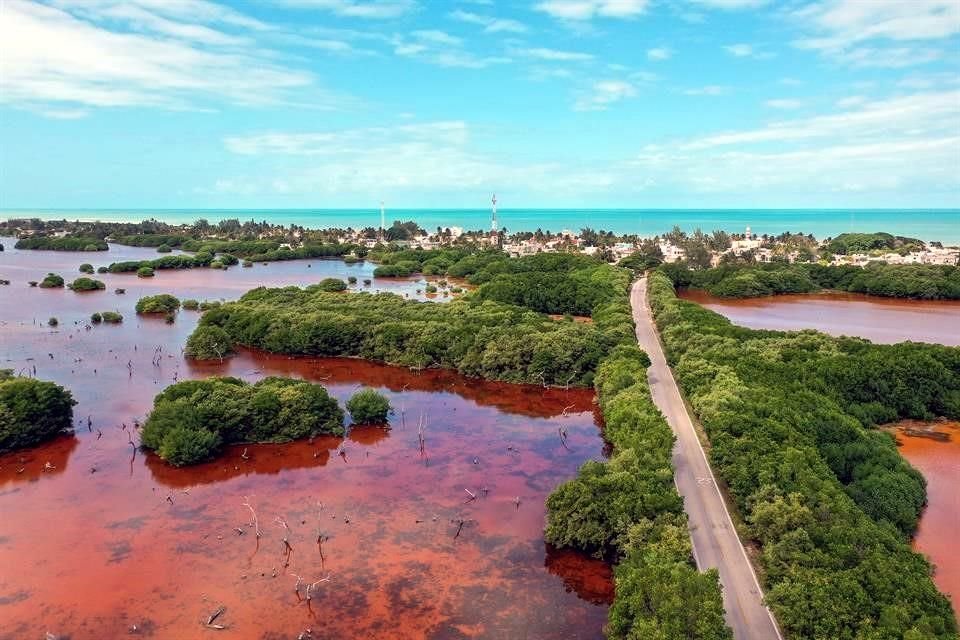 Sisal, un paraíso ubicado entre dos reservas naturales.