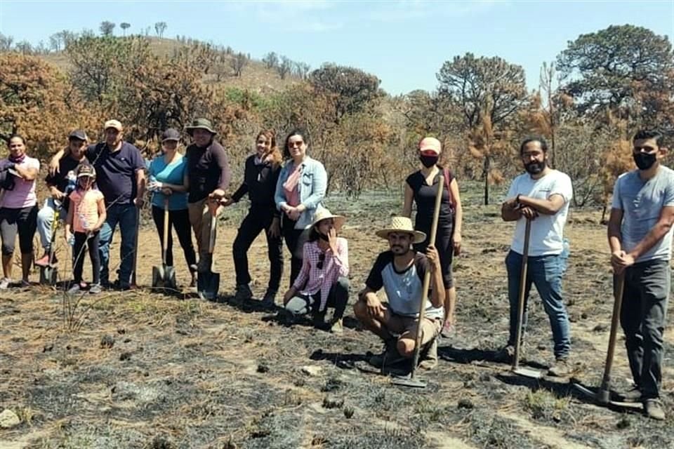 Vecinos que acudieron a regar y realizar cajetes en los árboles quemados.
