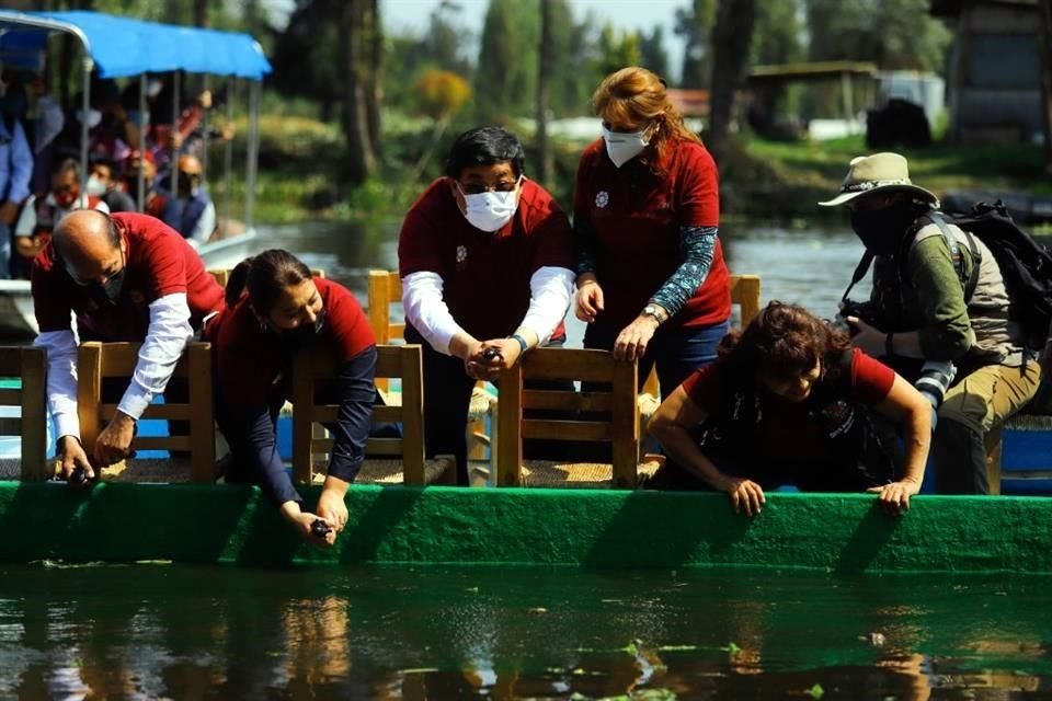 El investigador ha trabajado en refugios al interior de la zona chinampera que permiten la reproducción de esta especie.