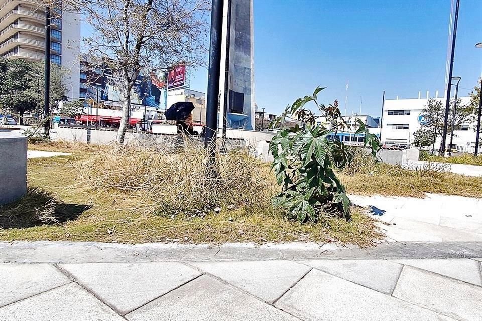 Maleza crecida, basura y mobiliario urbano dañado evidencian el abandono en la rotonda.