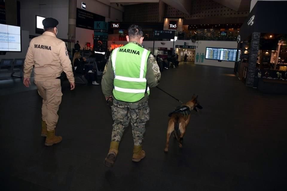 Un binomio canino de la Armada durante un recorrido por las instalaciones aeroportuarias.