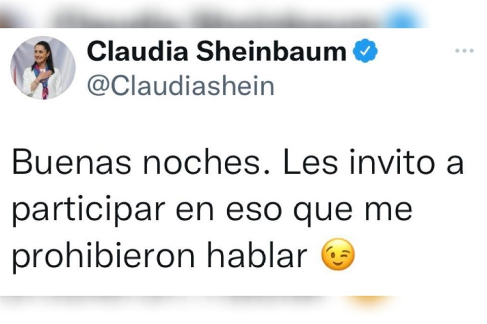 La consejera Claudia Zavala afirmó que este tipo de mensajes son preocupantes, pues son una simulación y buscan dar la vuelta a la Constitución.  