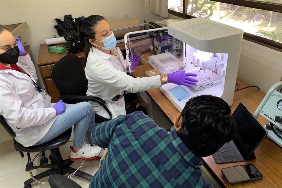 El biomaterial es colocado en una impresora 3D para crear estructuras tridimensionales que simulan las características del hueso e inducen su regeneración.