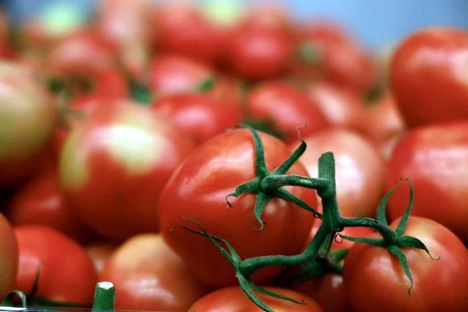 Departamento de Comercio de Estados Unidos anunció que la mayoría de los tomates importados desde México tendrán aranceles del 20.91% desde el 14 de julio.
