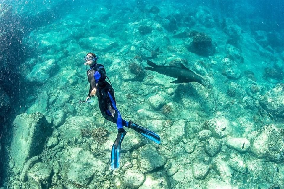 Bucea o practica esnórquel en sitios maravillosos como la Isla Cerralvo, Baja California Sur.