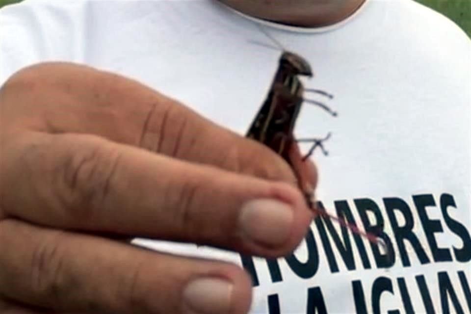 El Estado y Cadereyta iniciaron a fumigar la plaga de langostas a la altura del kilómetro 3 de la Carretera Cadereyta-Chihuahuita.