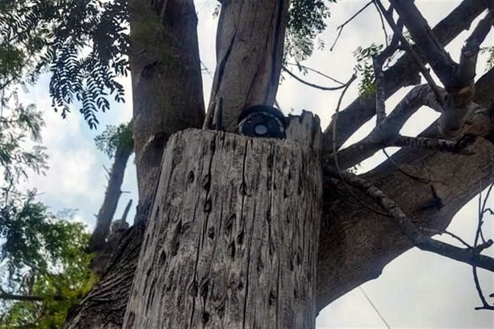 Las cámaras desmanteladas estaban instaladas en postes, registros telefónicos y de luz, cuya señal era transmitida por internet.