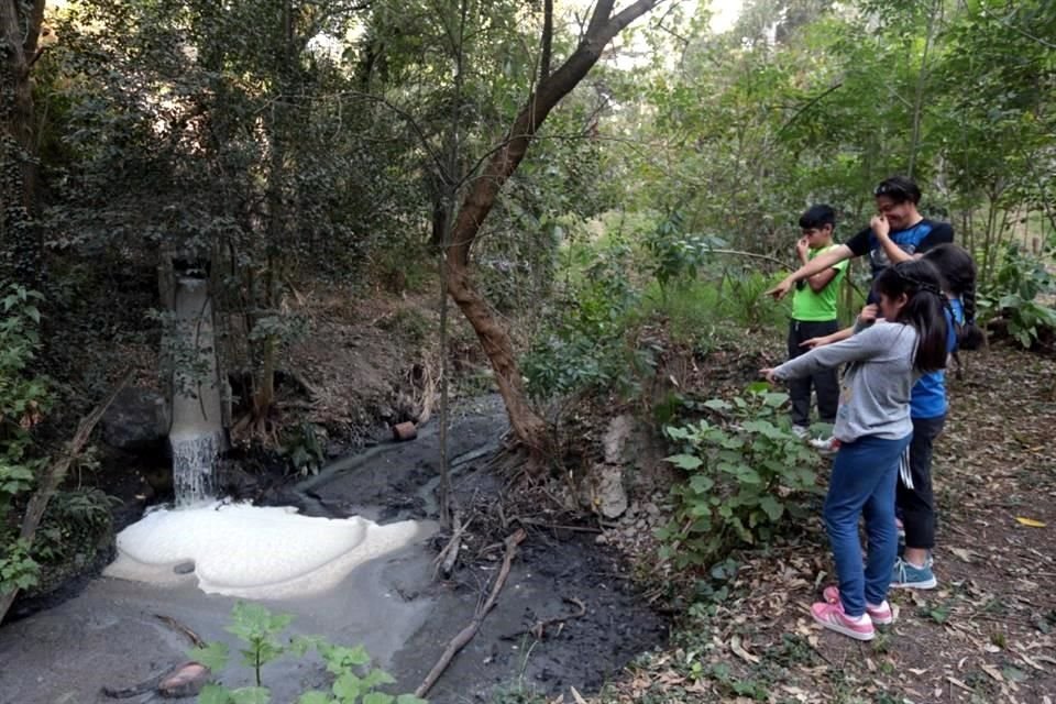 Vecinos realizan trabajos de desazolve en la Barranca de Barrilaco, ante la inacción de autoridades.